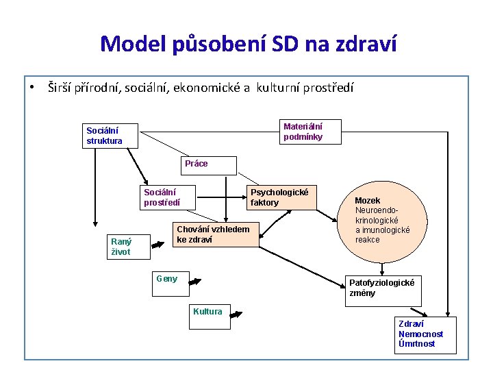 Model působení SD na zdraví • Širší přírodní, sociální, ekonomické a kulturní prostředí Materiální