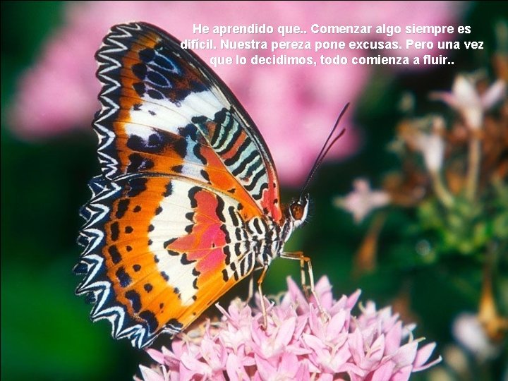 He aprendido que. . Comenzar algo siempre es difícil. Nuestra pereza pone excusas. Pero He aprendido que. . Comenzar algo siempre es difícil. Nuestra pereza pone excusas. Pero