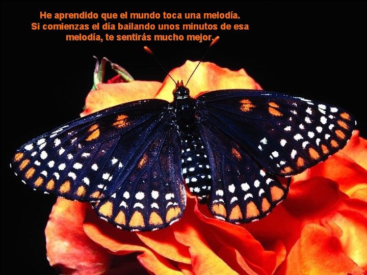 He aprendido que el mundo toca una melodía. Si comienzas el día bailando unos He aprendido que el mundo toca una melodía. Si comienzas el día bailando unos