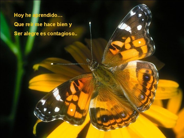 Hoy he aprendido… Que reír me hace bien y Ser alegre es contagioso. . Hoy he aprendido… Que reír me hace bien y Ser alegre es contagioso. .