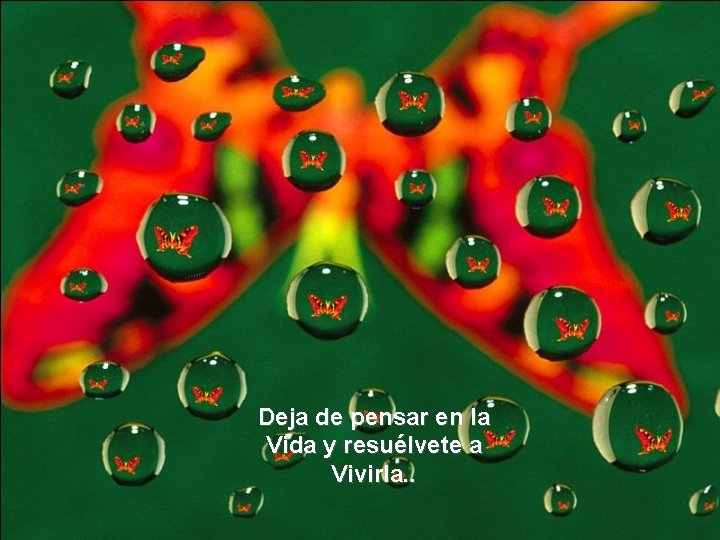 Deja de pensar en la Vida y resuélvete a Vivirla. . Deja de pensar en la Vida y resuélvete a Vivirla. .