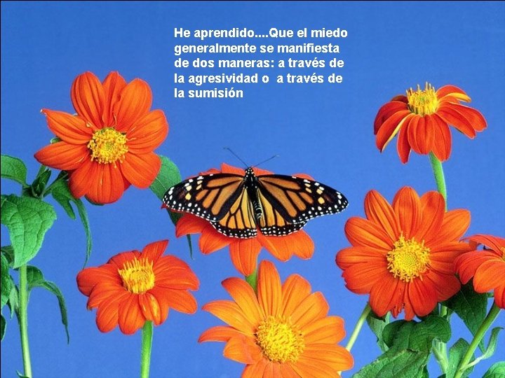 He aprendido. . Que el miedo generalmente se manifiesta de dos maneras: a través He aprendido. . Que el miedo generalmente se manifiesta de dos maneras: a través