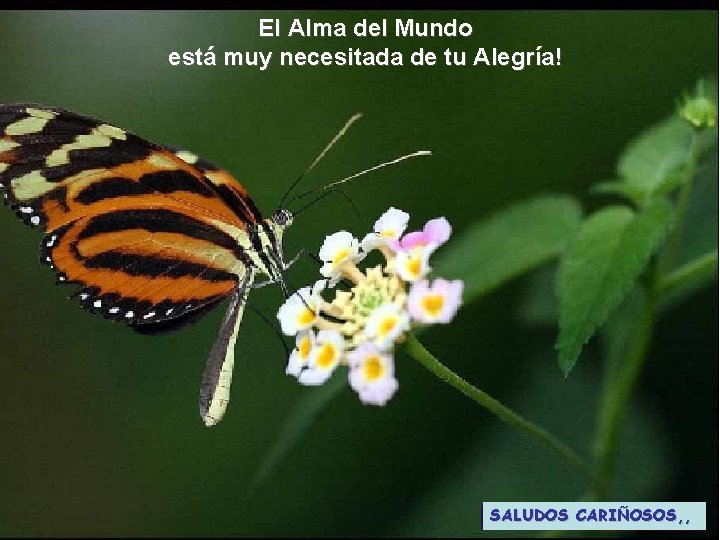 El Alma del Mundo está muy necesitada de tu Alegría! SALUDOS CARIÑOSOS, , El Alma del Mundo está muy necesitada de tu Alegría! SALUDOS CARIÑOSOS, ,