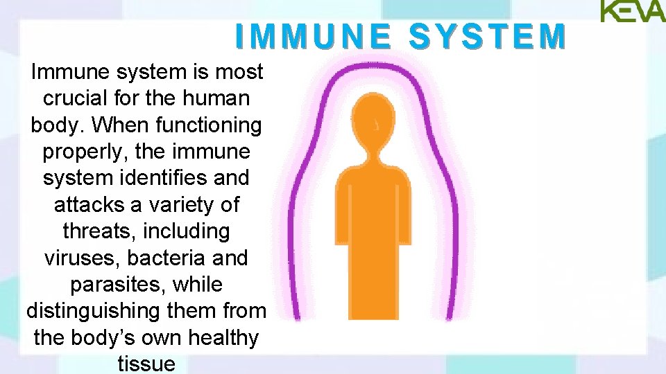 IMMUNE SYSTEM Immune system is most crucial for the human body. When functioning properly,