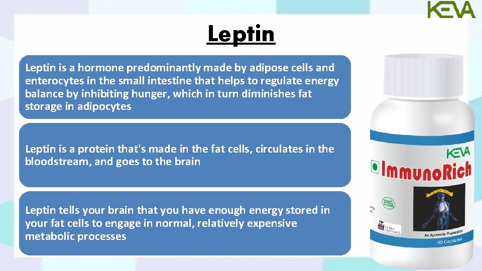 Leptin is a hormone predominantly made by adipose cells and enterocytes in the small