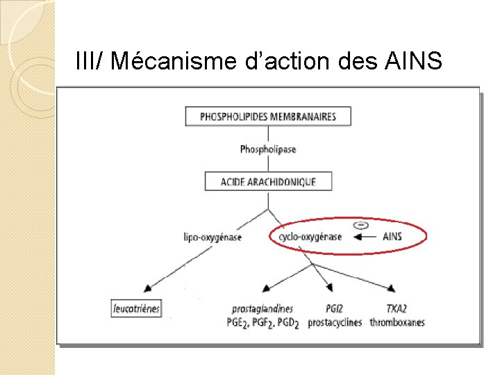 III/ Mécanisme d’action des AINS 