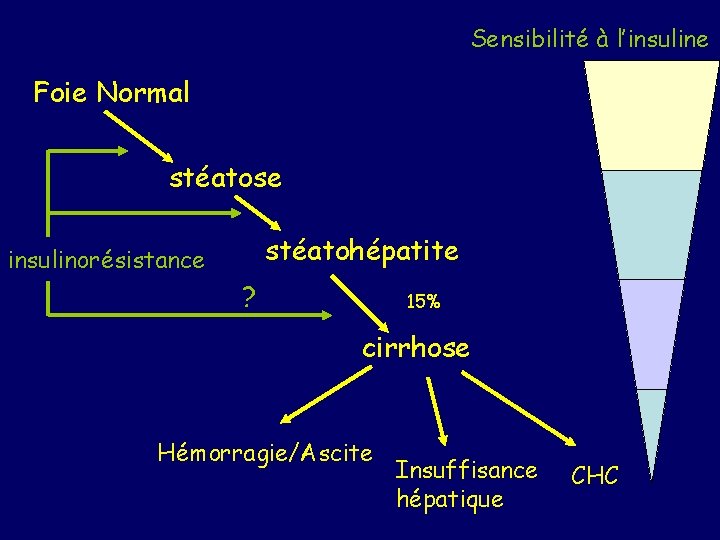 Sensibilité à l’insuline Foie Normal stéatose insulinorésistance stéatohépatite ? 15% cirrhose Hémorragie/Ascite Insuffisance hépatique