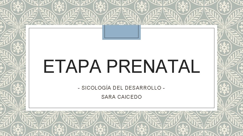 ETAPA PRENATAL - SICOLOGÍA DEL DESARROLLO - SARA CAICEDO 