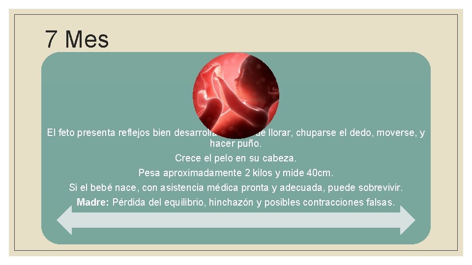 7 Mes El feto presenta reflejos bien desarrollados: puede llorar, chuparse el dedo, moverse,