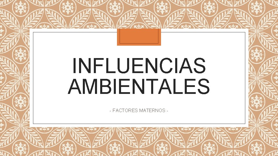 INFLUENCIAS AMBIENTALES - FACTORES MATERNOS - 