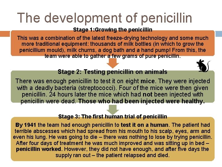 The development of penicillin Stage 1: Growing the penicillin This was a combination of The development of penicillin Stage 1: Growing the penicillin This was a combination of