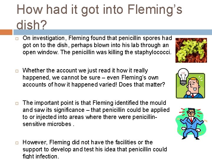 How had it got into Fleming’s dish? On investigation, Fleming found that penicillin spores How had it got into Fleming’s dish? On investigation, Fleming found that penicillin spores