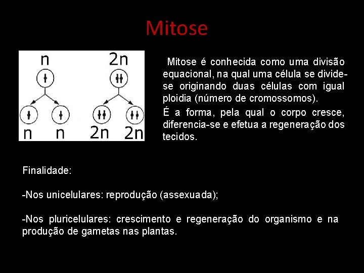 Mitose é conhecida como uma divisão equacional, na qual uma célula se dividese originando
