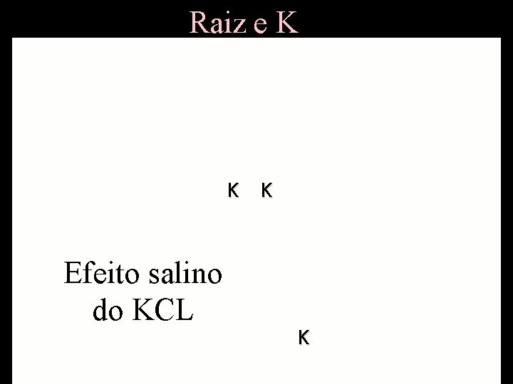 Raiz e K K Efeito salino K do KCL K K 