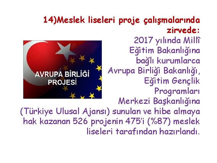 14)Meslek liseleri proje çalışmalarında zirvede: 2017 yılında Millî Eğitim Bakanlığına bağlı kurumlarca Avrupa Birliği