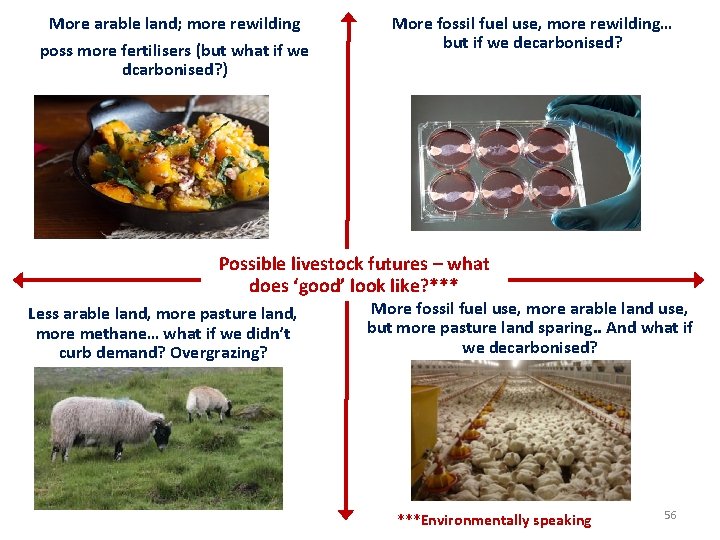 More arable land; more rewilding poss more fertilisers (but what if we dcarbonised? )