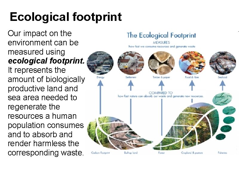 Ecological footprint Our impact on the environment can be measured using ecological footprint. It Ecological footprint Our impact on the environment can be measured using ecological footprint. It