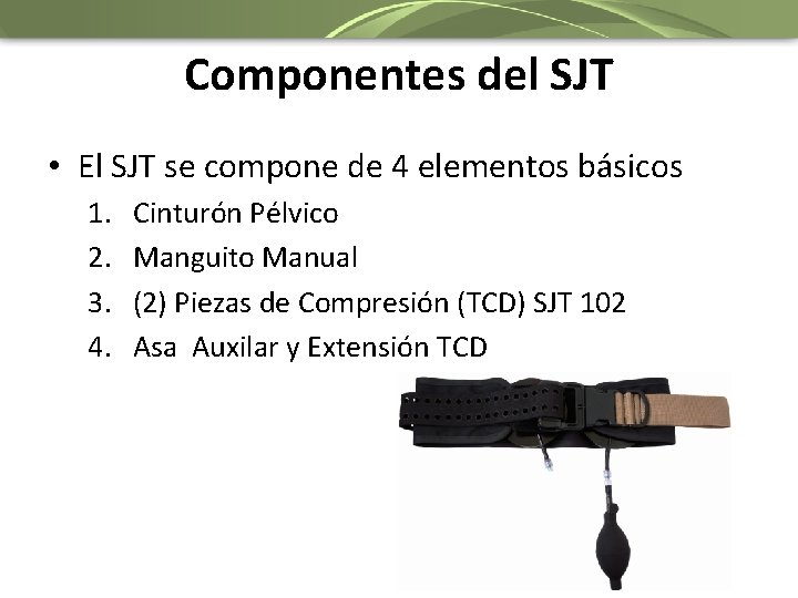 Componentes del SJT • El SJT se compone de 4 elementos básicos 1. 2.