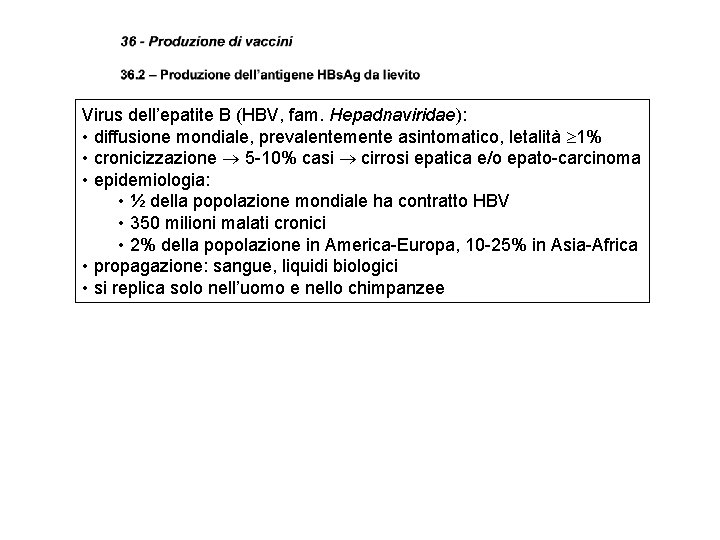 Virus dell’epatite B (HBV, fam. Hepadnaviridae): • diffusione mondiale, prevalentemente asintomatico, letalità 1% •