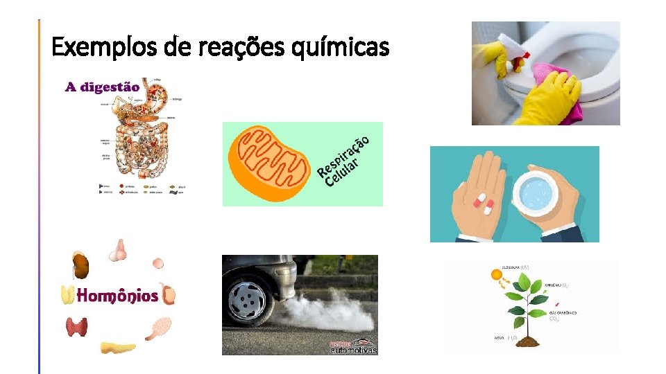 Exemplos de reações químicas 