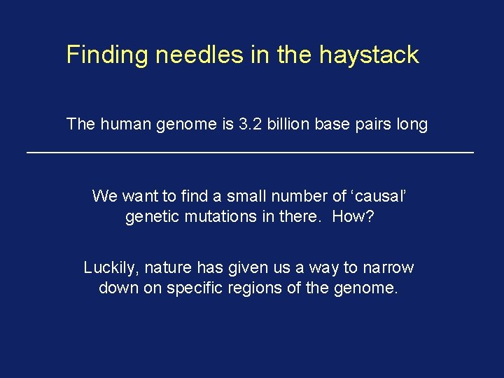 Finding needles in the haystack The human genome is 3. 2 billion base pairs