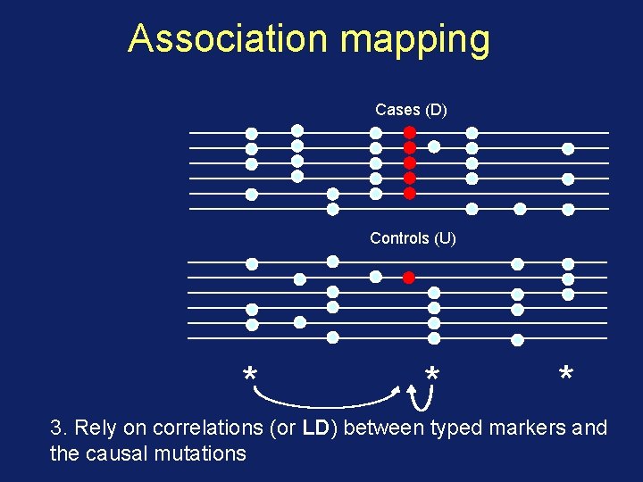 Association mapping Cases (D) Controls (U) * * * 3. Rely on correlations (or