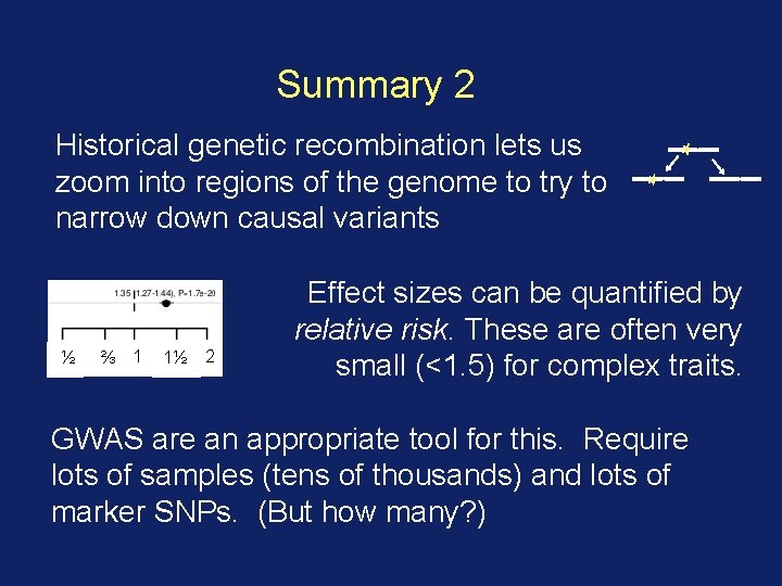 Summary 2 Historical genetic recombination lets us zoom into regions of the genome to