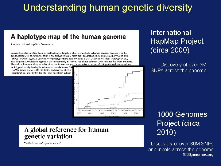 Understanding human genetic diversity International Hap. Map Project (circa 2000) Discovery of over 5