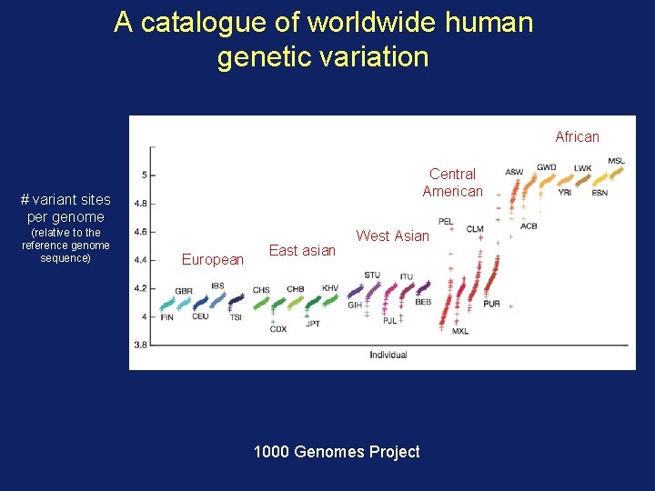 A catalogue of worldwide human genetic variation African Central American # variant sites per