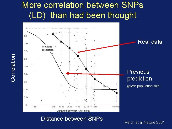 More correlation between SNPs (LD) than had been thought Correlation Real data Previous prediction