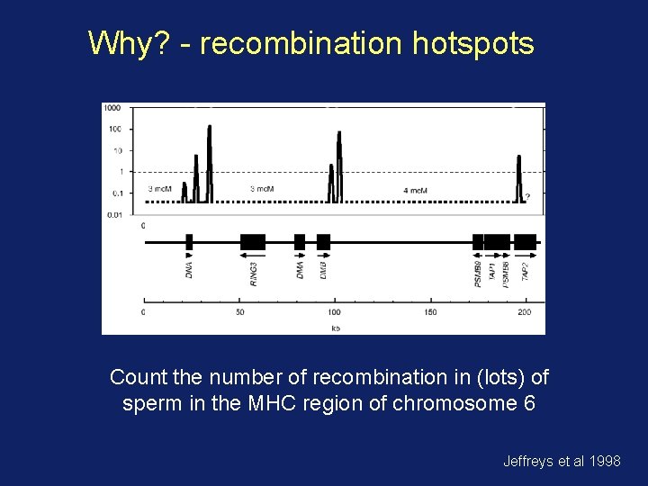 Why? - recombination hotspots Count the number of recombination in (lots) of sperm in