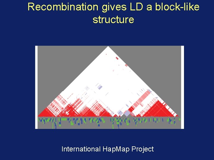 Recombination gives LD a block-like structure International Hap. Map Project 