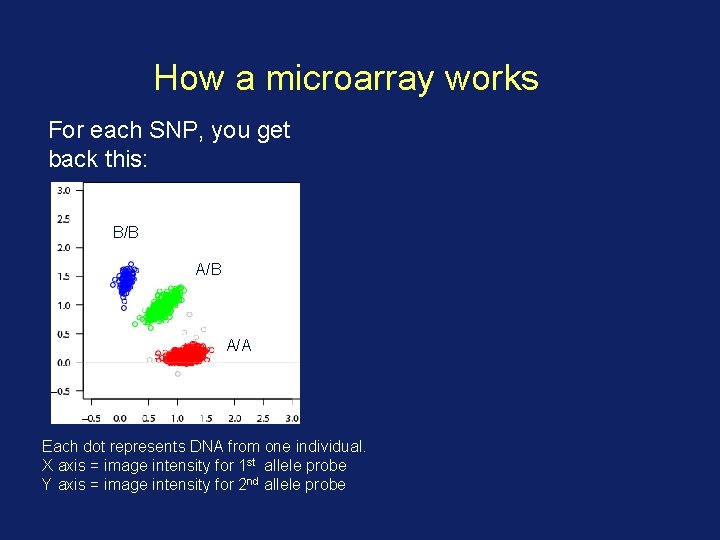 How a microarray works For each SNP, you get back this: B/B A/A Each