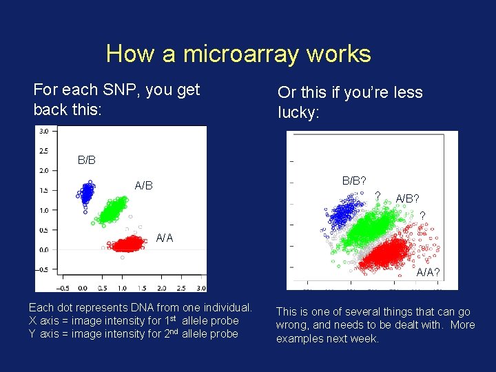 How a microarray works For each SNP, you get back this: Or this if