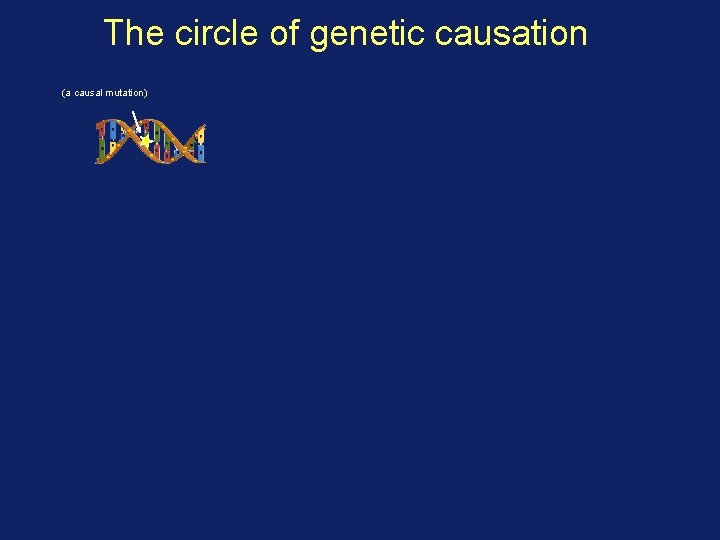 The circle of genetic causation (a causal mutation) 
