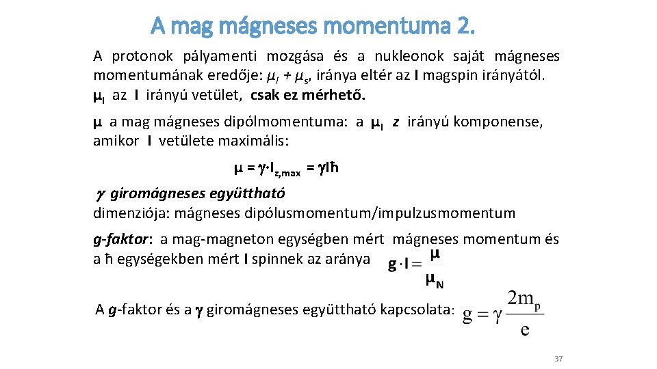 A mag mágneses momentuma 2. A protonok pályamenti mozgása és a nukleonok saját mágneses