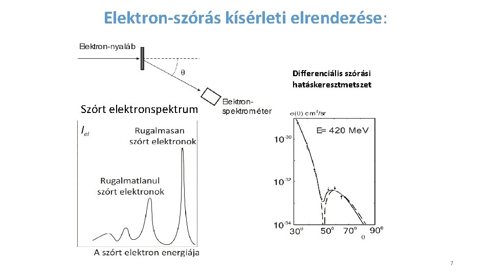 Elektron-szórás kísérleti elrendezése: Differenciális szórási hatáskeresztmetszet Szórt elektronspektrum 7 