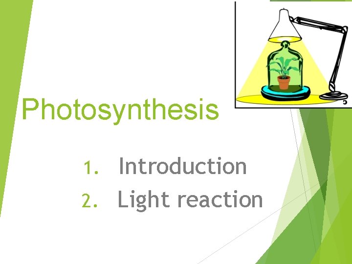 Photosynthesis Introduction 2. Light reaction 1. 