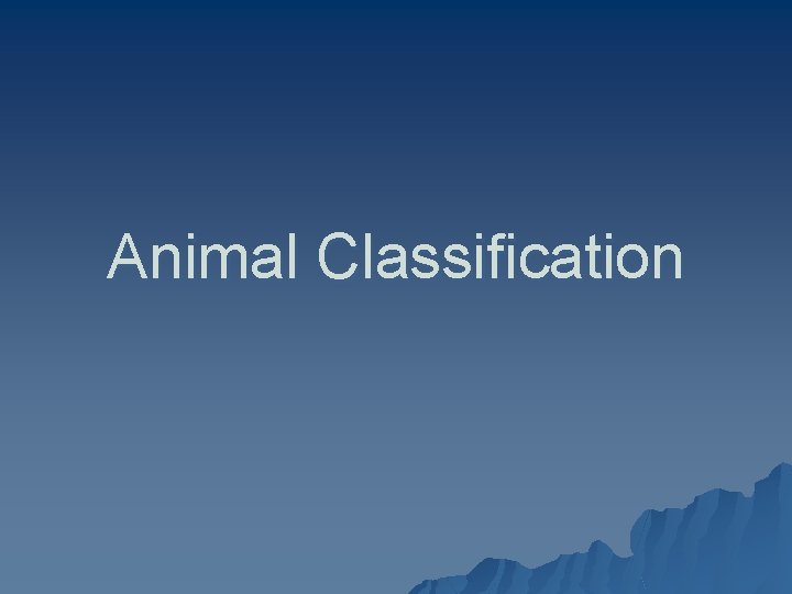 Animal Classification 