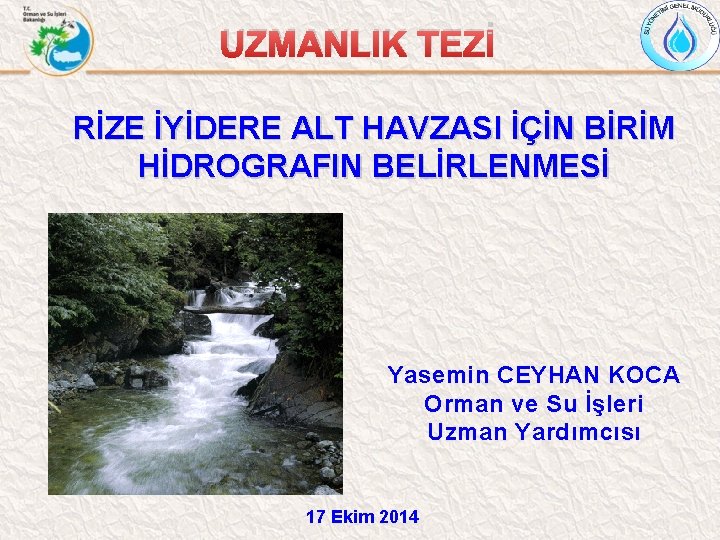 UZMANLIK TEZİ RİZE İYİDERE ALT HAVZASI İÇİN BİRİM HİDROGRAFIN BELİRLENMESİ Yasemin CEYHAN KOCA Orman