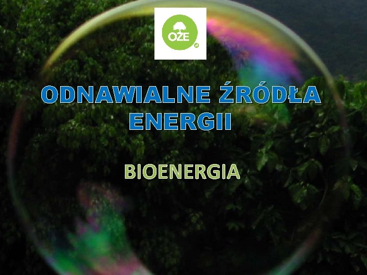 ODNAWIALNE ŹRÓDŁA ENERGII BIOENERGIA 