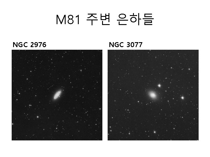 M 81 주변 은하들 NGC 2976 NGC 3077 