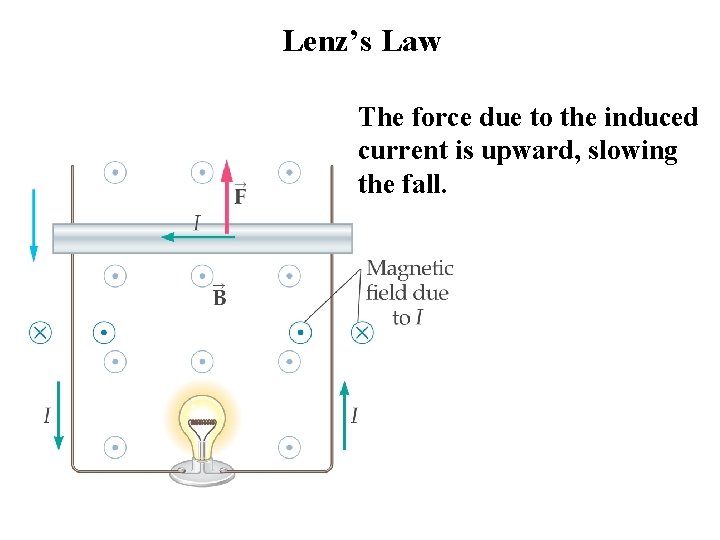 Lenz’s Law The force due to the induced current is upward, slowing the fall.