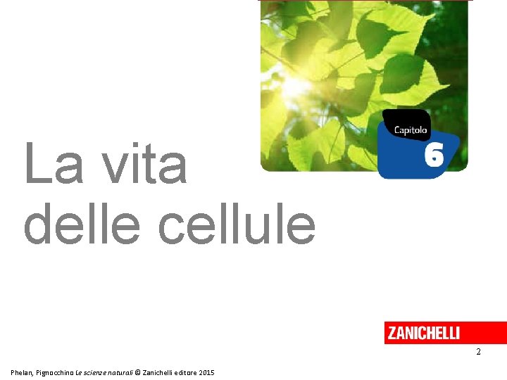 La vita delle cellule 2 Phelan, Pignocchino Le scienze naturali © Zanichelli editore 2015 La vita delle cellule 2 Phelan, Pignocchino Le scienze naturali © Zanichelli editore 2015