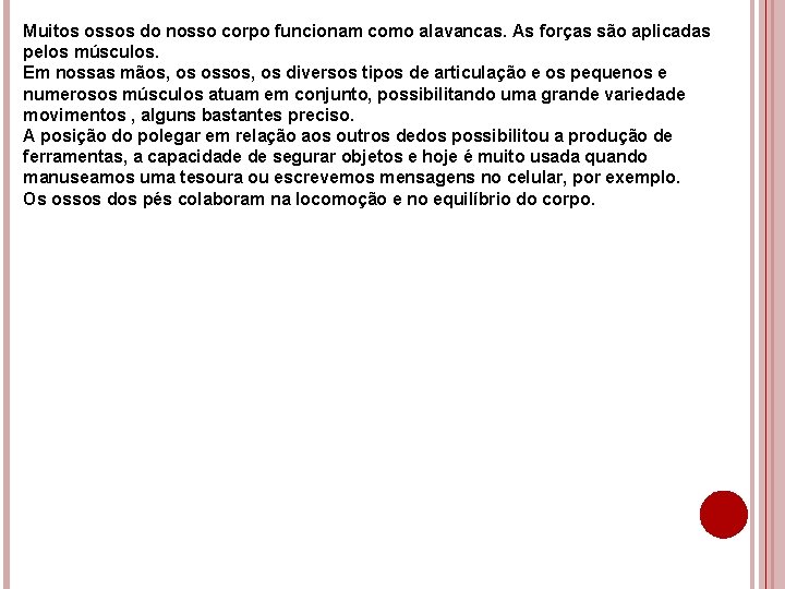 Muitos ossos do nosso corpo funcionam como alavancas. As forças são aplicadas pelos músculos.