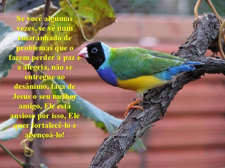 Se você algumas vezes, se vê num emaranhado de problemas que o fazem perder