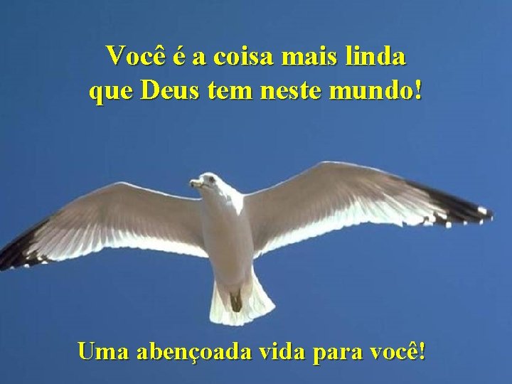 Você é a coisa mais linda que Deus tem neste mundo! Uma abençoada vida