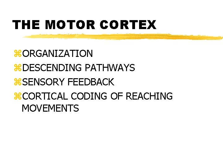 THE MOTOR CORTEX z. ORGANIZATION z. DESCENDING PATHWAYS z. SENSORY FEEDBACK z. CORTICAL CODING