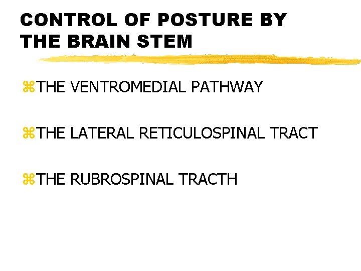 CONTROL OF POSTURE BY THE BRAIN STEM z. THE VENTROMEDIAL PATHWAY z. THE LATERAL