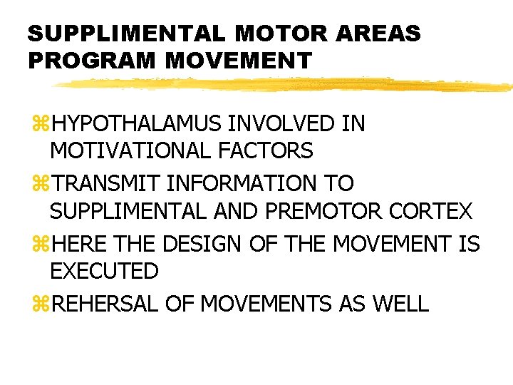 SUPPLIMENTAL MOTOR AREAS PROGRAM MOVEMENT z. HYPOTHALAMUS INVOLVED IN MOTIVATIONAL FACTORS z. TRANSMIT INFORMATION